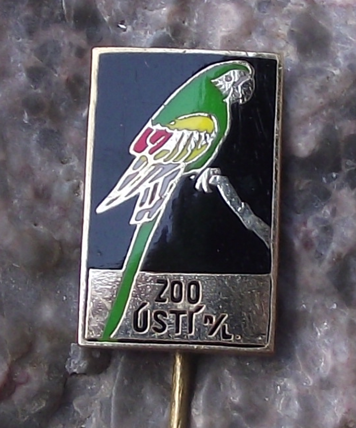Vintage Usti nad Labem Zoo Blue Green African Macaw Parrot Bird Pin Badge