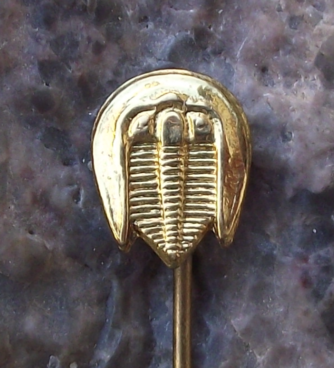 Vintage Czechoslovakia Trilobite Fossil Collectors Geologist Pin Badge