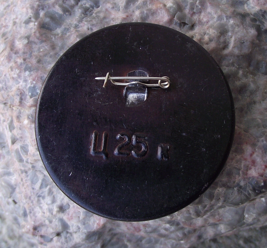 Vintage Moscow Kremlin Soviet Union Comecon Building Mirror Pin Badge