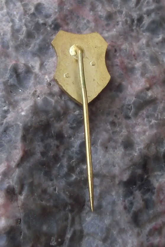 Vintage TJ Vitkovice Ostrava CSSR Ice Hockey Team Pin Badge