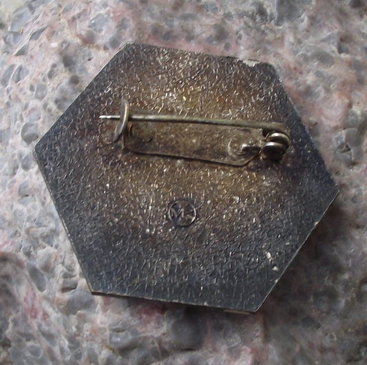 1975 FIS Vratna Ski Interkriterium Annual Slovak Skiing Competition Mountains Pin Badge