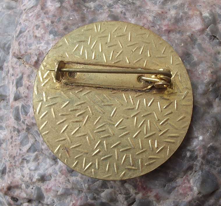 Vintage Czech Pioneer Pionyr Camp Forest Running Pioneering ROH Pin Badge