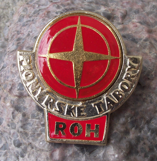 Vintage Czech Pioneer Camp Pionyr Youth Award Compass ROH Pin Badge