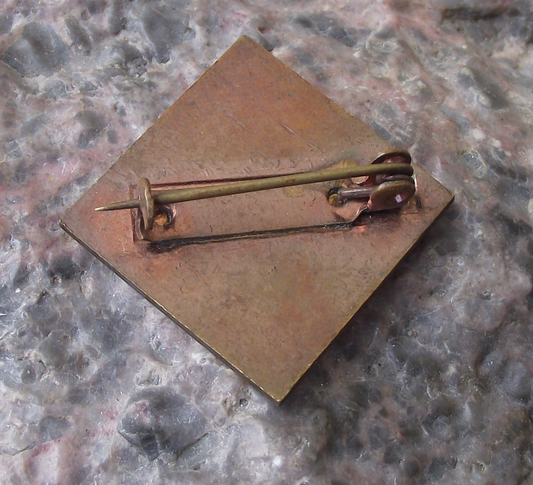 Vintage Czech Pioneer Pionyr Youth Camp Water Waves ROH Pin Badge