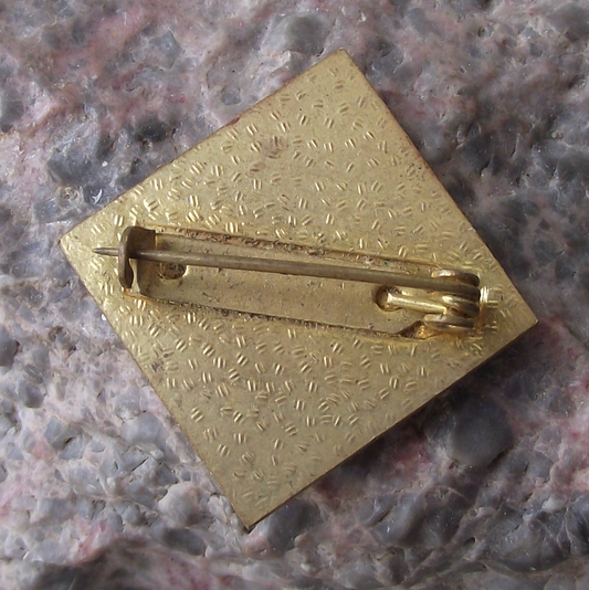 Vintage Czech Pioneer Pionyr Youth Camp Football Soccer ROH Pin Badge