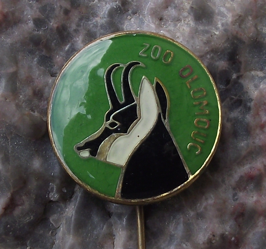 Vintage Chamois Mountain Deer Safari Park Herd Zoo Olomouc Pin Badge