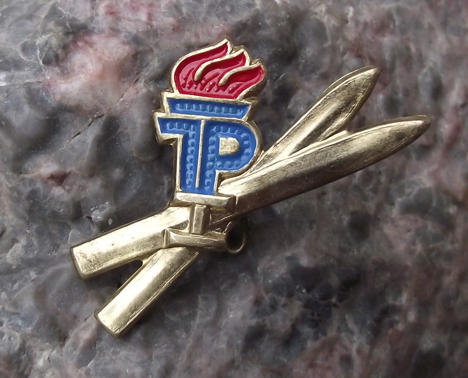 Vintage Thalmann Pioneer East Germany GDR DDR Skiing Stage 1 Pin Badge