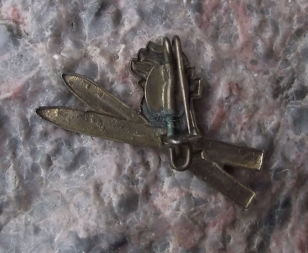 Vintage Thalmann Pioneer East Germany GDR DDR Skiing Stage 1 Pin Badge