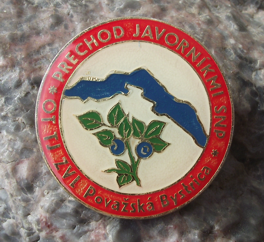 1980 SNP Slovak National Uprising SNP Javorník Maple Mountain Ascent Pin Badge