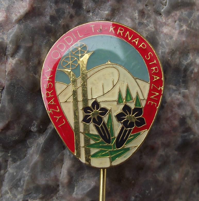 Vintage TJ Krnap Strážné Ski Club  Krkonoše Campanula Flowers Skiing Pin Badge