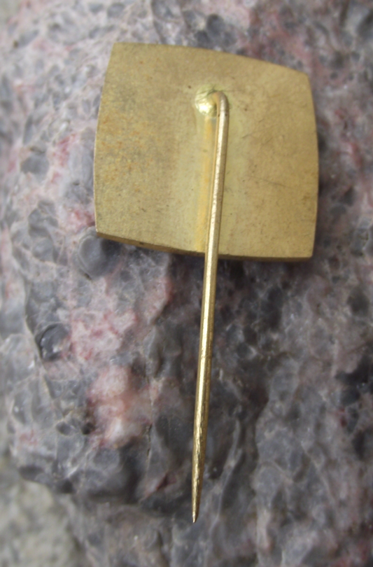 1975 Harvest Festival Czechoslovakia Communist Farming Celebration Pin Badge