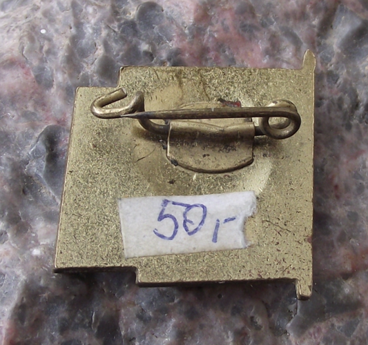 1972 FDJ Freie Deutsche Jugend Hans Beimler DDR Germany Youth Blue Flag Pin Badge