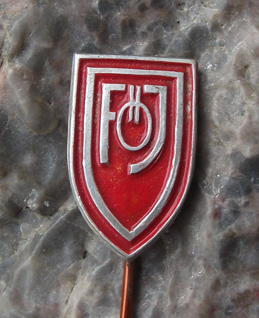 Vintage Austria FOJ Communist Boys Youth Camp Austrian Members Pin Badge