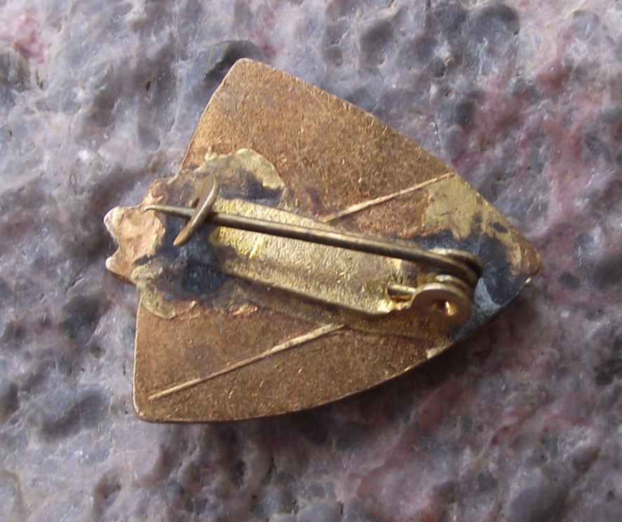 Vintage Vysoke Tatry Mountains and Edelweiss Flower Pin Badge