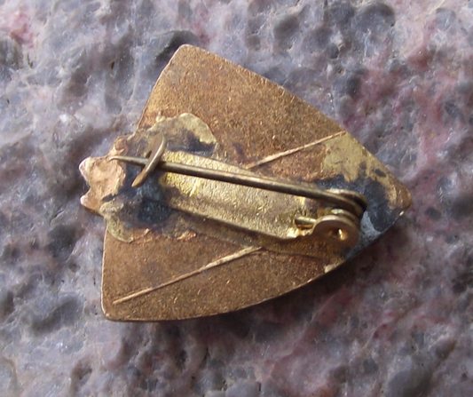 Vintage Vysoke Tatry Mountains and Edelweiss Flower Pin Badge