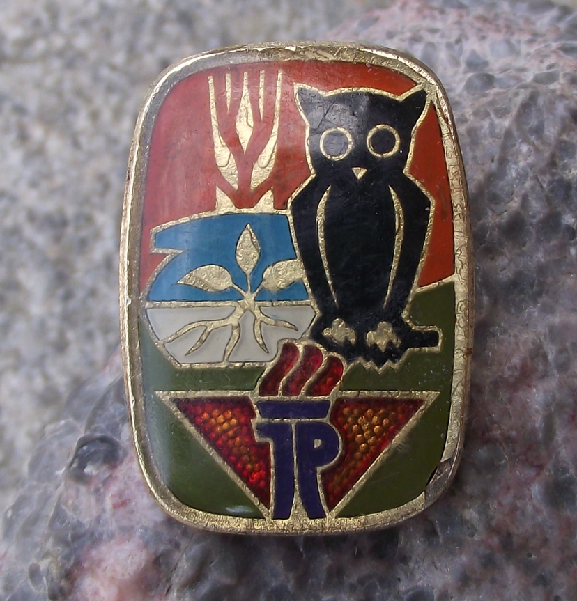 Vintage Thalmann Pioneer GDR DDR East German Youth Owl Pin Badge