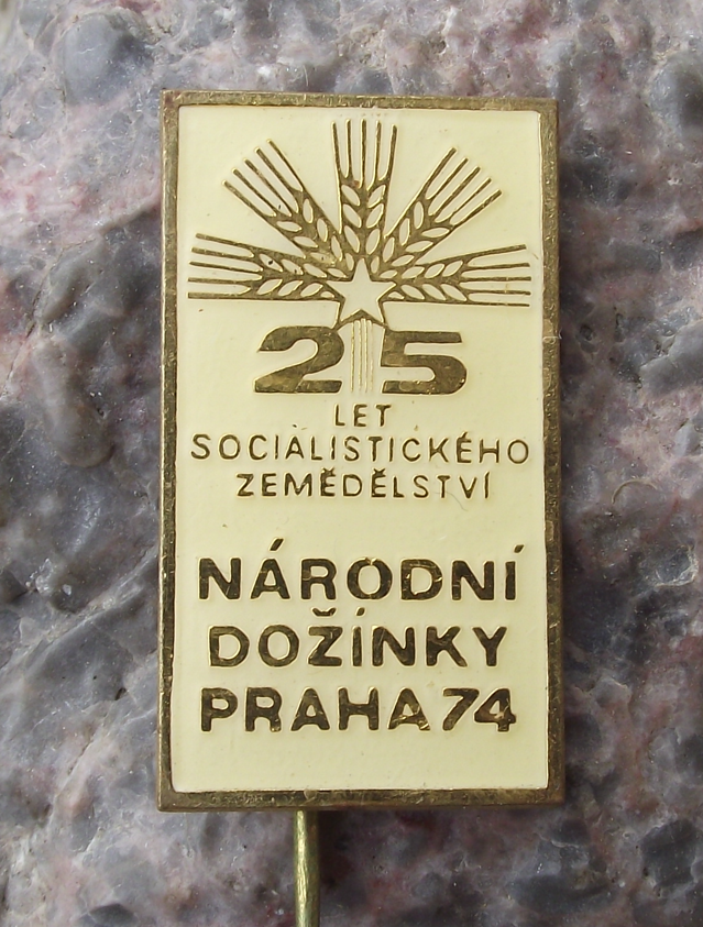 1974 Harvest Festival Czechoslovakia Communist Farming Celebration Pin Badge