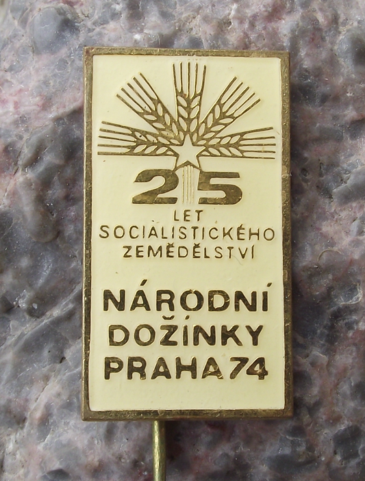 1974 Harvest Festival Czechoslovakia Communist Farming Celebration Pin Badge