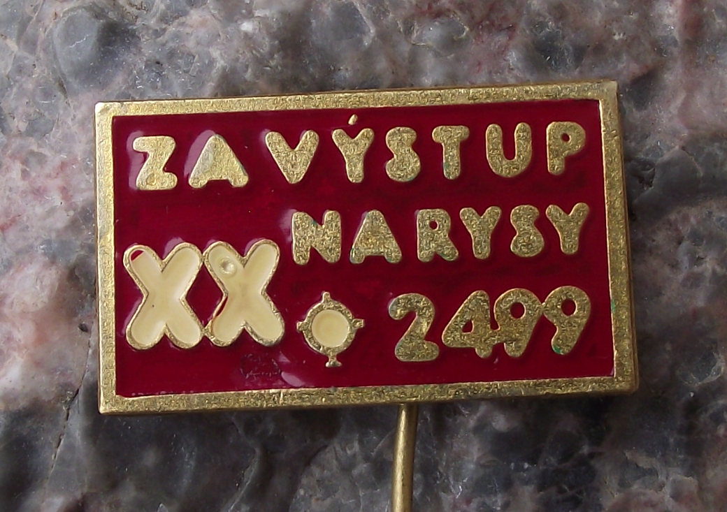 1976 MVMR 20th International Ascent of Rysy Mountain Edelweiss Pin Badge