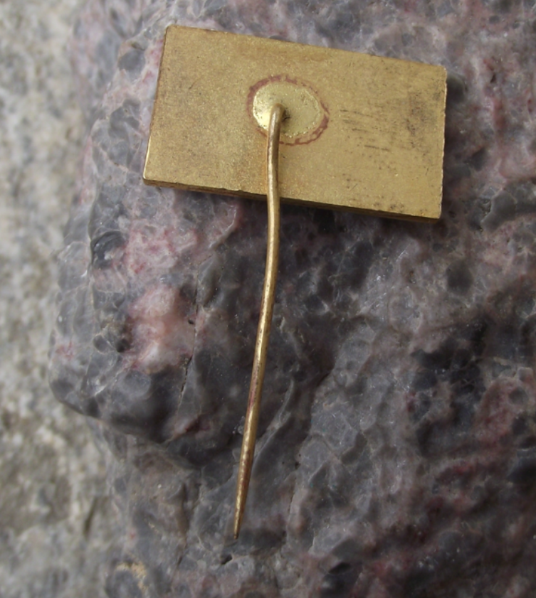 1976 MVMR 20th International Ascent of Rysy Mountain Edelweiss Pin Badge