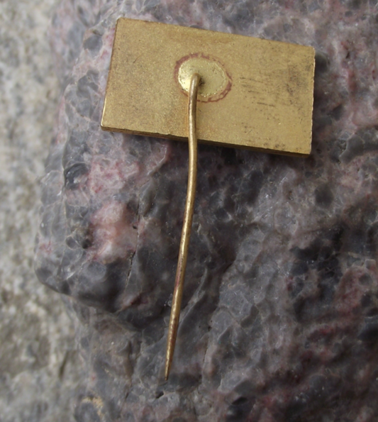 1976 MVMR 20th International Ascent of Rysy Mountain Edelweiss Pin Badge