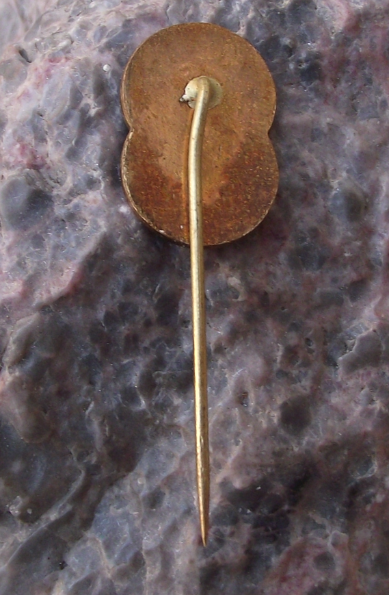 Vintage Tesla Light Bulb Pin Badge