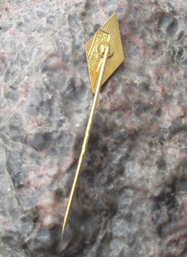 Vintage East German Amateur Radio League Ham Amateur DX DARC Pin Badge