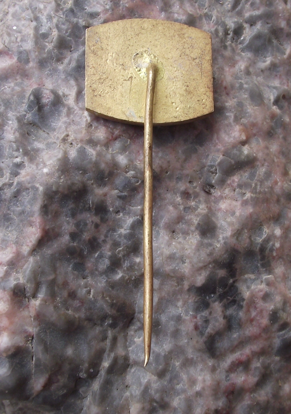 1975 Czech Homing Pigeon Breeders Show Uherske Hradiste Alternative Pin Badge