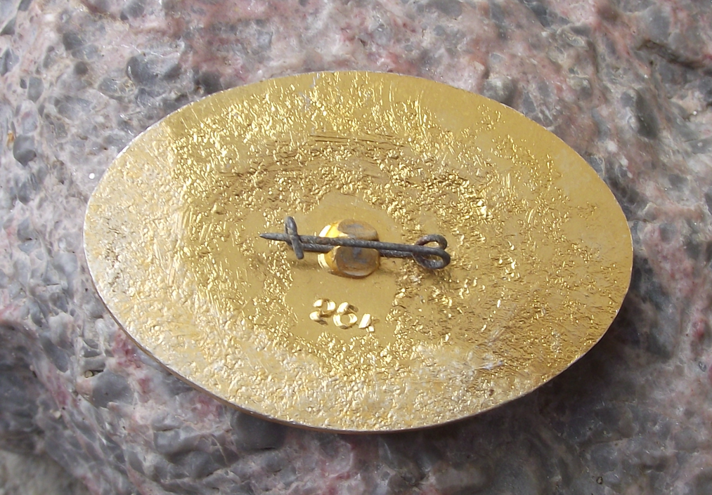 Vintage Soviet Union Russia May day Mayday 1st Spring Flowers Pin Badge
