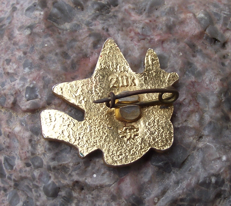 Vintage Soviet Union Russia Victory Day Celebrations Red Star Pin Badge