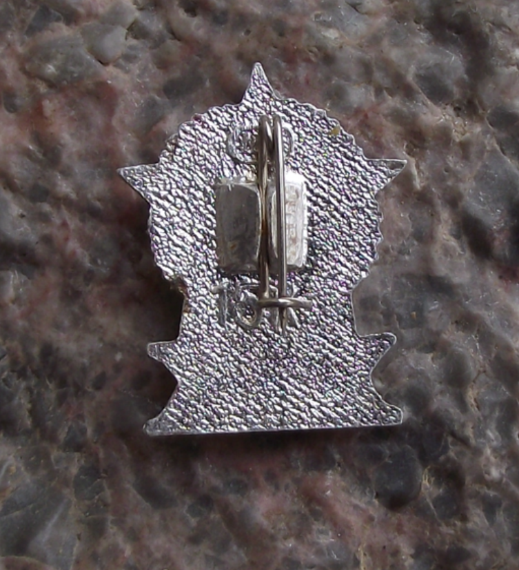 1975 Soviet Order of Victory Day 30th Anniversary XXX Star Award Pin Badge