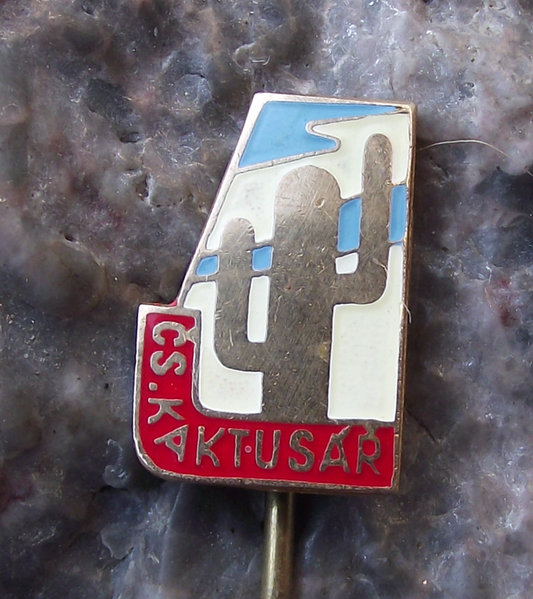 Vintage Cactus Club Society of Czechoslovakia Members Pin Badge