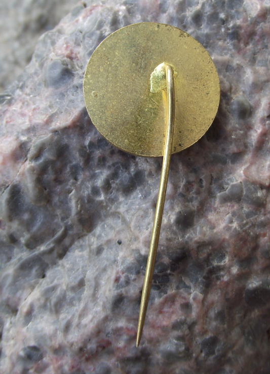 Vintage Trade Union ROH Mountain Hiking and Walking Event Sports Pin Badge