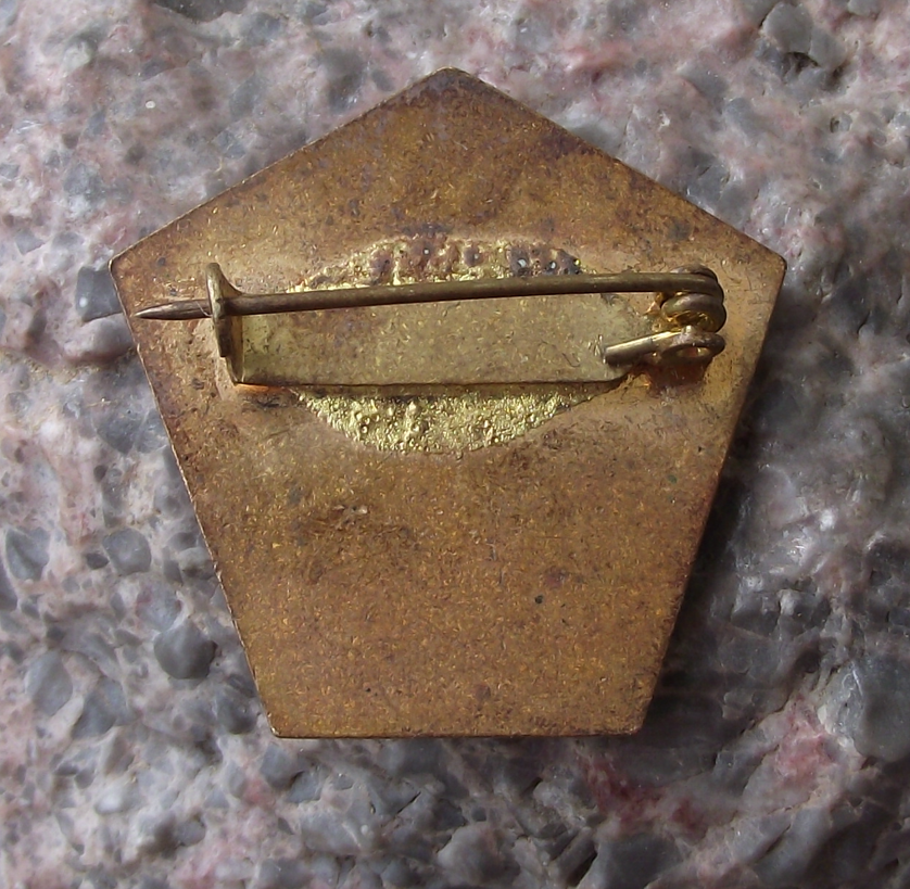 Vintage Czech Pioneer Pionyr Camp Level Flaming Number 5 ROH Pin Badge