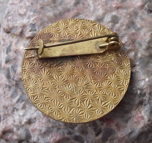 Vintage Czech Pioneer Pionyr Camp House Construction Level 5 ROH Pin Badge