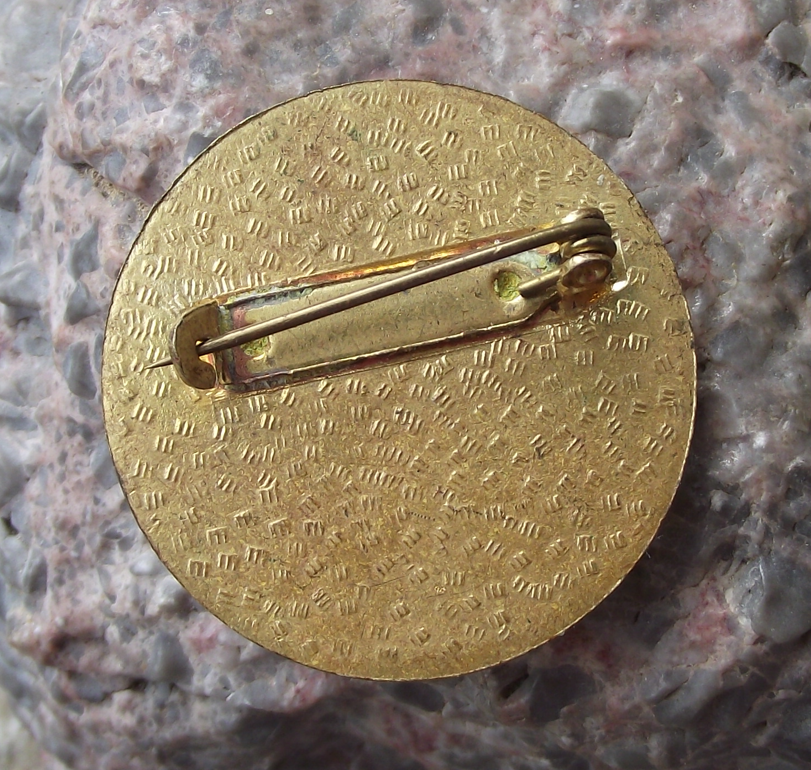 Vintage Czech Pioneer Pionyr Camp Skiing Skier ROH Pin Badge