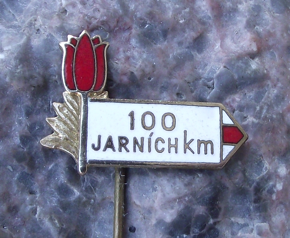 Vintage 100 km Kilometres Spring Walk Walking Event Road Sign Flower Pin Badge