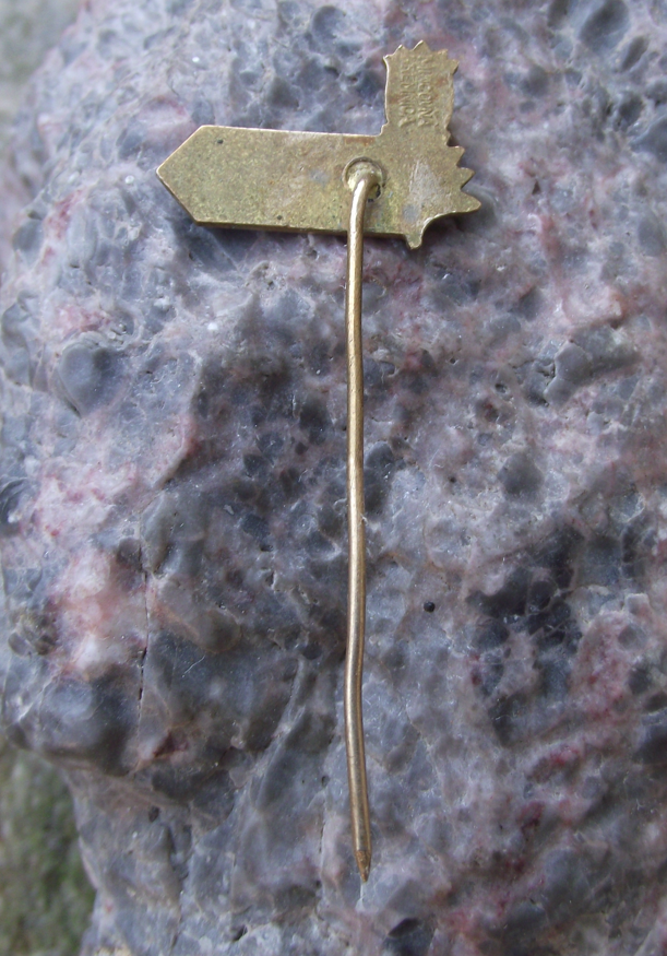 Vintage 100 km Kilometres Spring Walk Walking Event Road Sign Flower Pin Badge
