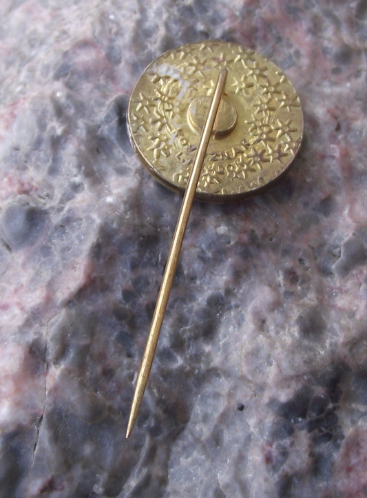 Vintage Važecká jaskyňa Važec Cave System Slovakia Tourist Pin Badge