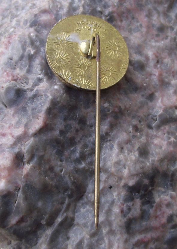 Vintage Demänovská jaskyňa Demänová Ice Cave System Slovakia Tourist Pin Badge