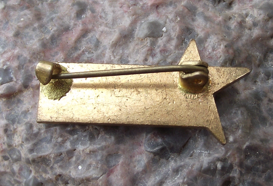 1969 Soviet Union Czechoslovakia Trade Union Friendship Train Pin Badge