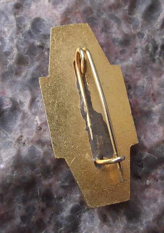 1969 Polish National Skiing Championships Zakopane Tatra Mountains Pin Badge