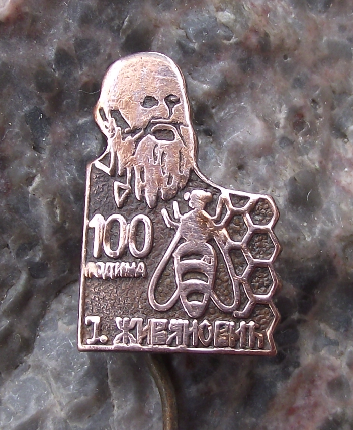 Vintage Serbian Beekeeping Stick Pin Badge Prof Jovan Zivanovic Honey Bee Rare
