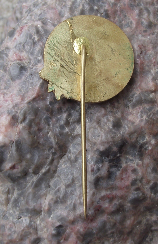 Vintage Vysoke Tatry High Tatra Mountain Peak and Edelweiss Flower Pin Badge