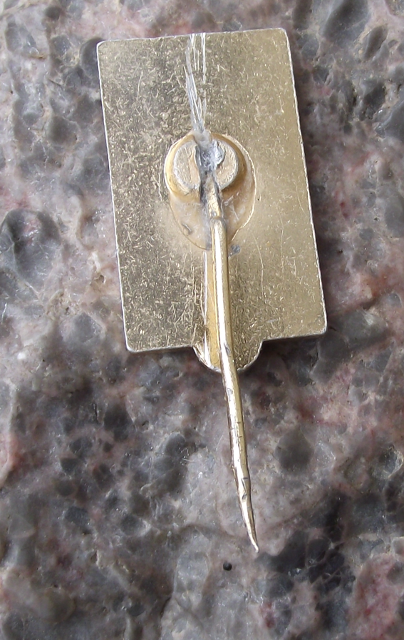 1960 Iraq Baghdad VIth Congress of the International Union of Students IUS Pin Badge