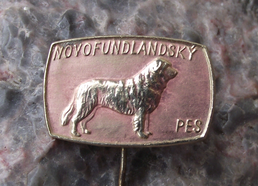 Vintage Newfoundland Working Dog Show Pin Badge