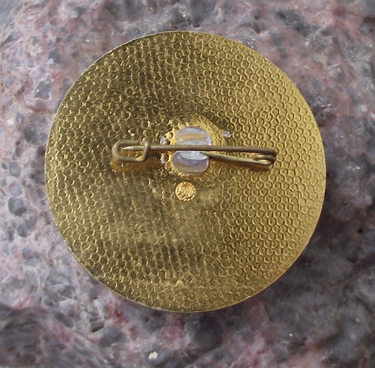 Vintage OIJ International Organization of Journalists Fundraiser Pin Badge