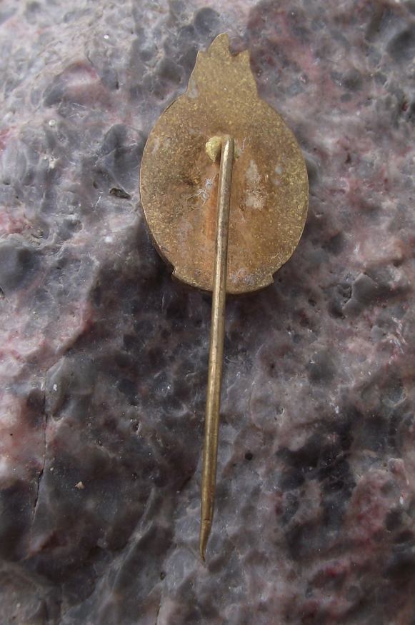 Vintage MPLA People's Movement for the Liberation of Angola Africa Pin Badge