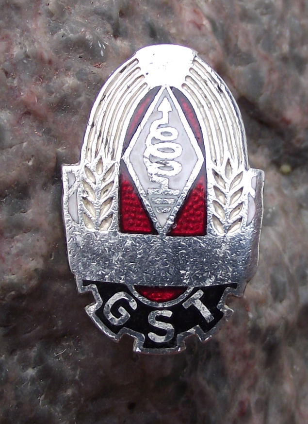Vintage GST East German Amateur Radio Proficiency Badge Pin Badge