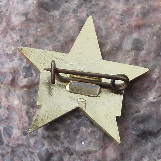 Vintage People's Democratic Republic of Yemen October Revolution Pin Badge